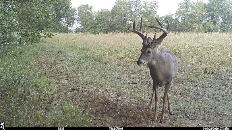 UGlrZTgzIDIwLjAwMDUx