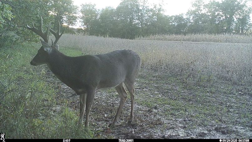 UGlrZTgzIDIwLjAwMDYx