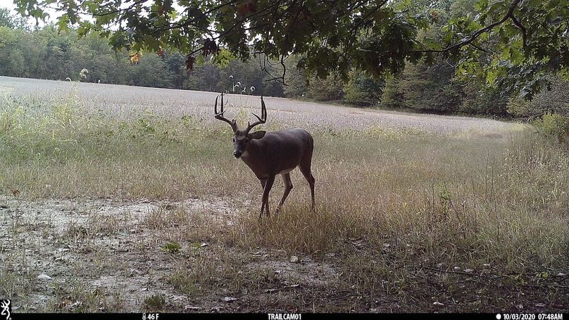 UGlrZTgzIDIwLjAwMDcy