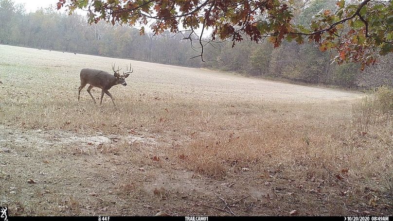 UGlrZTgzIDIwLjAwMTEw