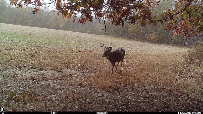 UGlrZTgzIDIwLjAwMTE0