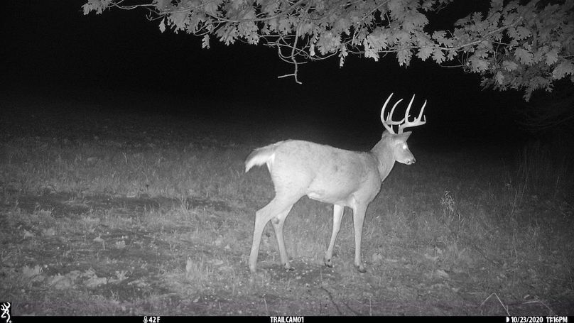 UGlrZTgzIDIwLjAwMTE1