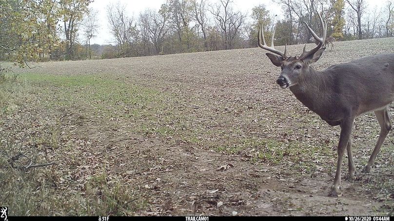 UGlrZTgzIDIwLjAwMTIz