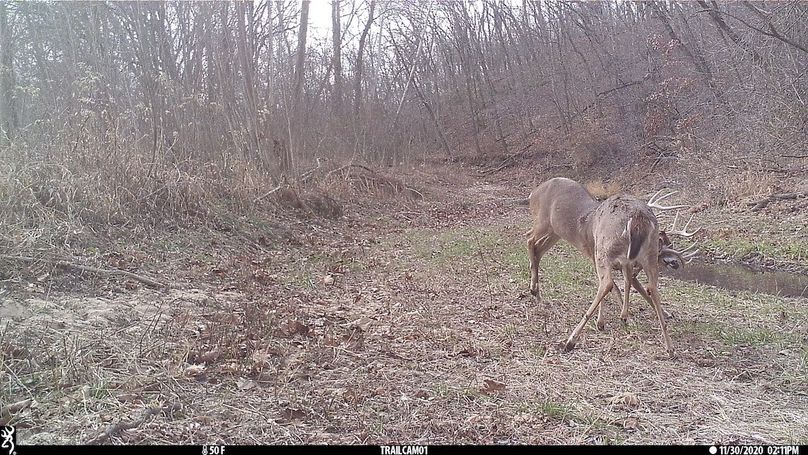 UGlrZTgzIDIwLjAwMTg4