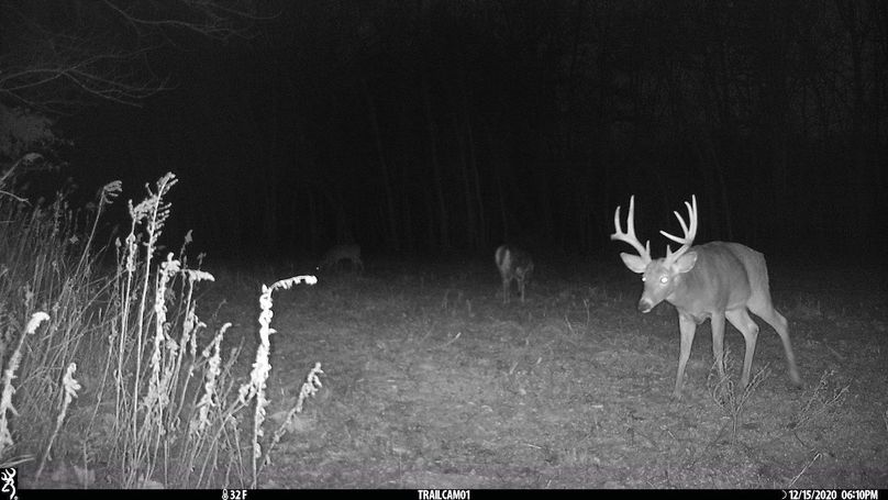 UGlrZTgzIDIwLjAwMTk3