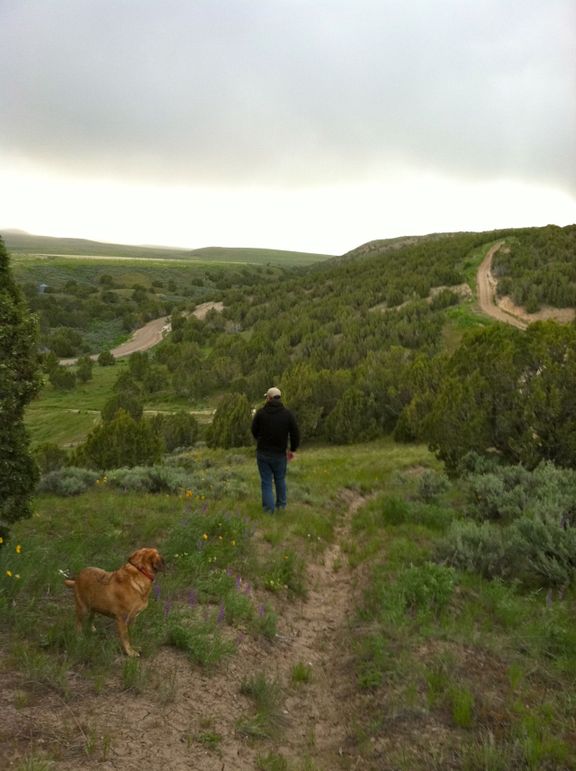 Hiking-cedar-ridge 5849943823 o