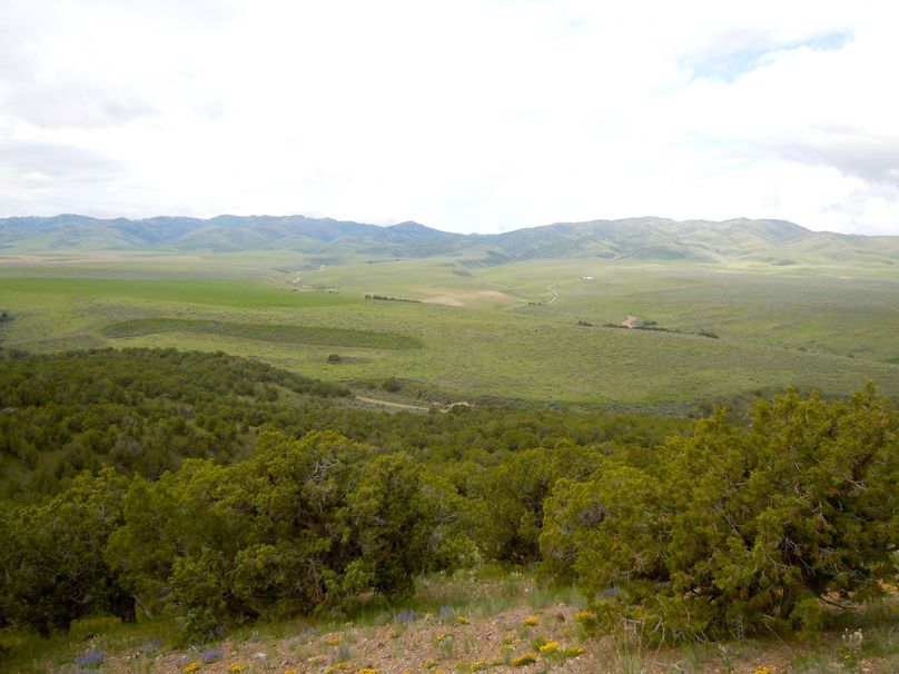 Hiking-our-land-on-cedar-ridge 5826966494 o