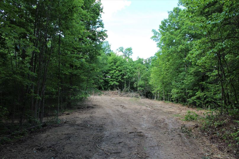 005 cleared opening in the middle of the property perfect for a cabin or even a small home overlooking the valley