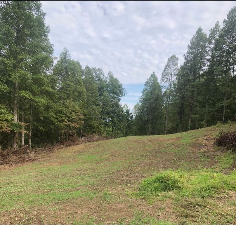 A4101a59-b142-491e-8853-a7b5f48c1cdf 1 105 c