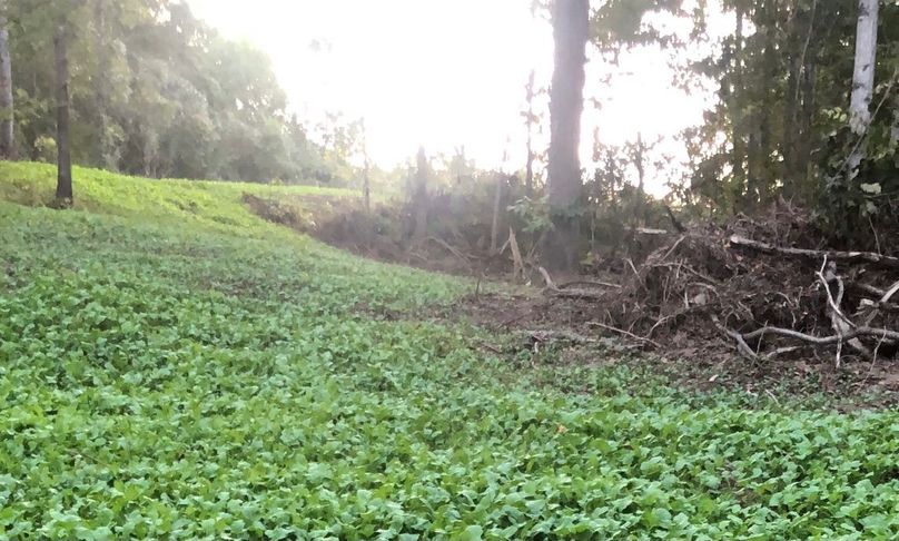 A4f9045c-bb6e-4d72-ac67-db305adfe524 1 105 c