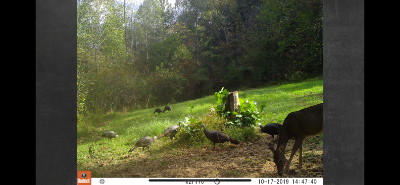 Abcfc3a1-6b9a-4fcd-8c97-5b4626a8d0f2