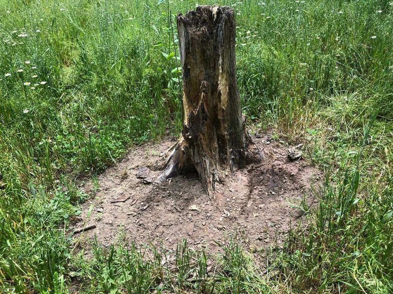 Bf74b700-1a84-4183-849e-a3940d887803 1 105 c