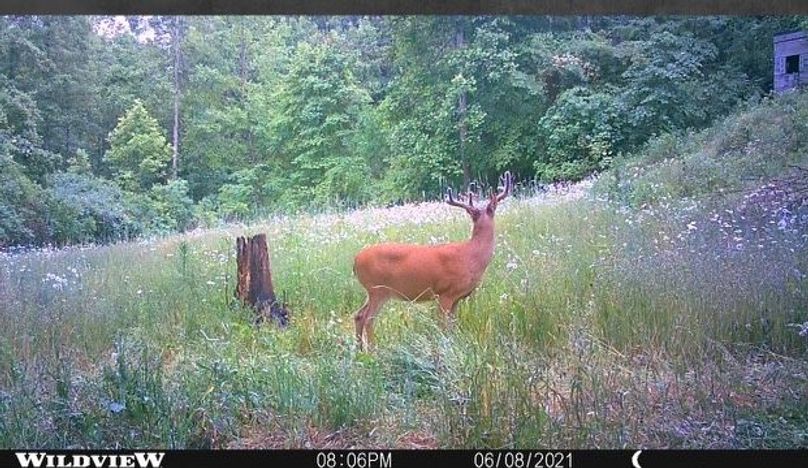 C594fb45-0ccd-4224-9d4a-c99d9ff38a15 4 5005 c