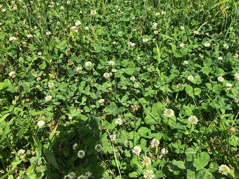 C5bb0dc2-39a1-469c-8f1c-778ab806adf8 1 105 c