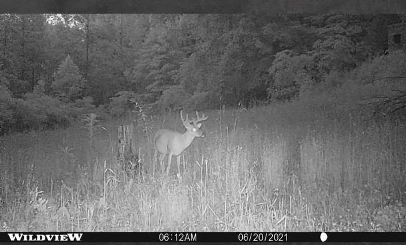 C2ddb724-a2b6-4638-83f8-e970d68373b5 1 201 a