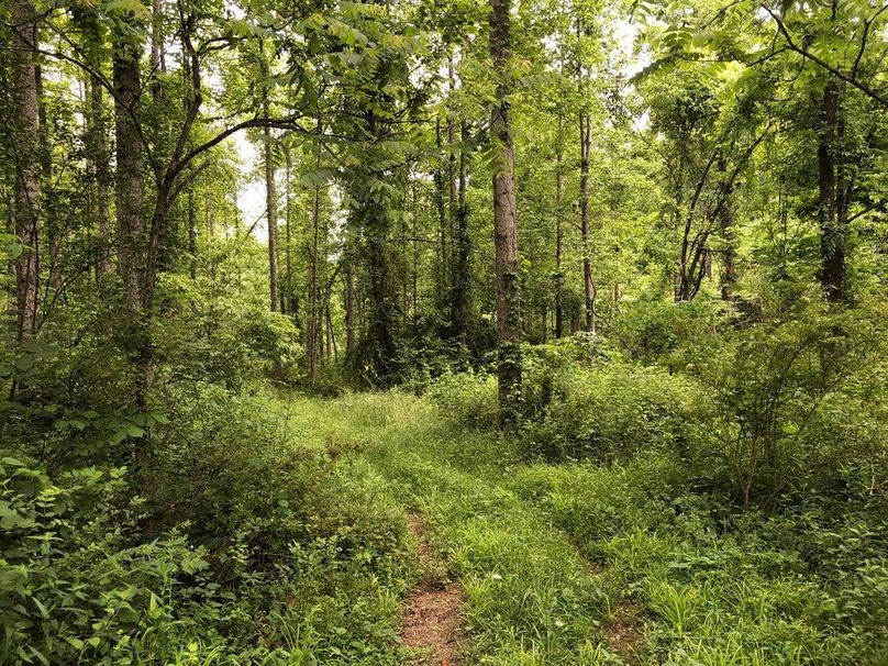 Cf482b2b-3016-46e6-a986-82adcf247a4d 1 105 c