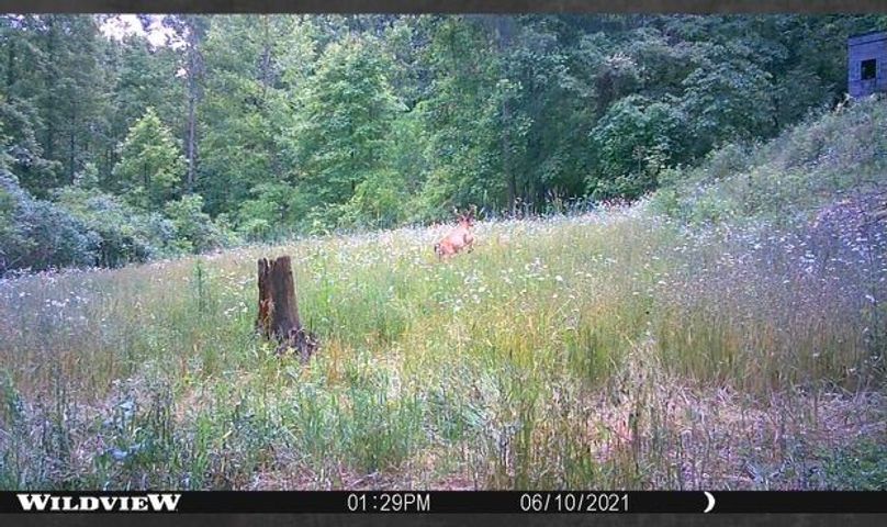 E7043b81-5526-4fb2-95d8-23395b978047 1 201 a