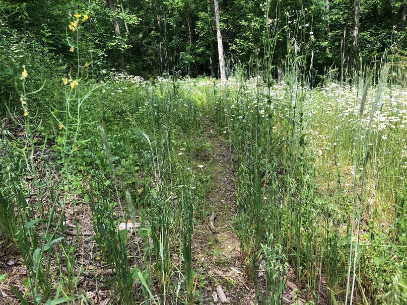 E9e2b417-5207-47aa-bb98-b2e25f0df176 1 105 c