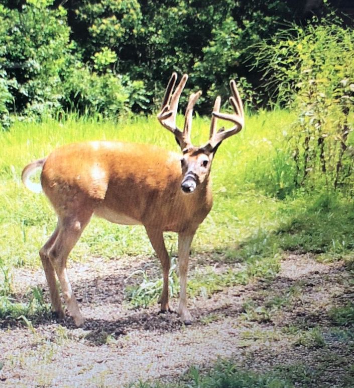 Ea553311-6a3d-4306-9955-cb0fffc41e57 1 105 c