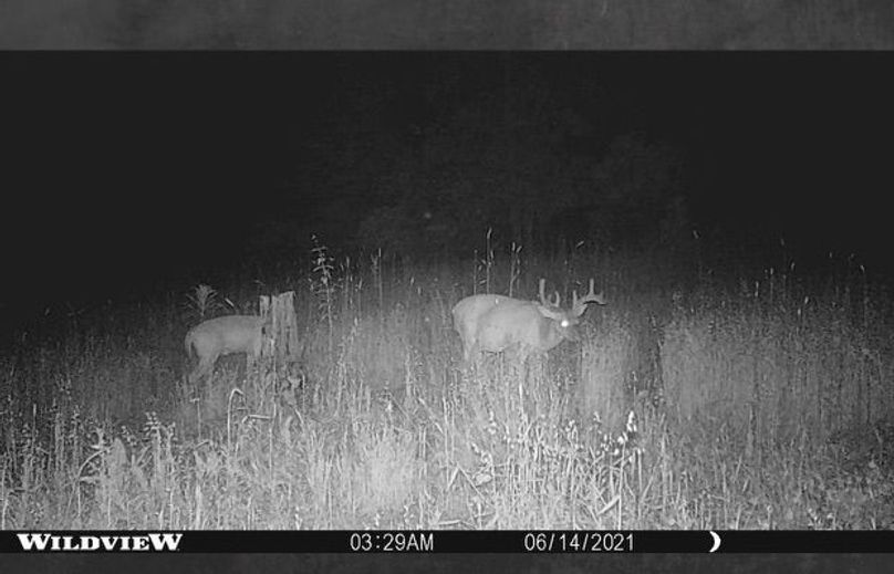 F55a7cd1-878b-459e-adc1-5826afffe766 1 201 a