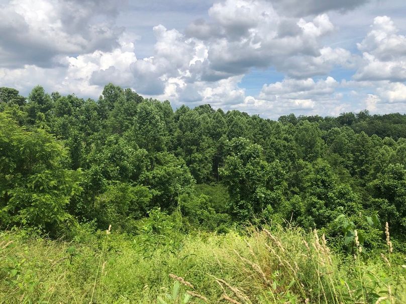 F9b760ea-cacc-40cd-b63f-92c094dc9068 1 105 c