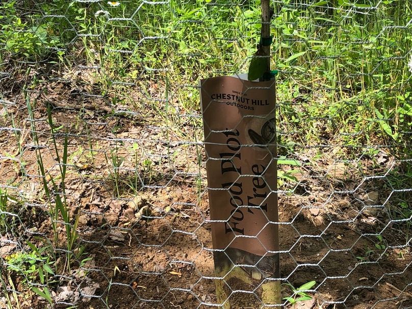 F275bc1a-1399-4098-98fa-806ff22c08c7 1 105 c