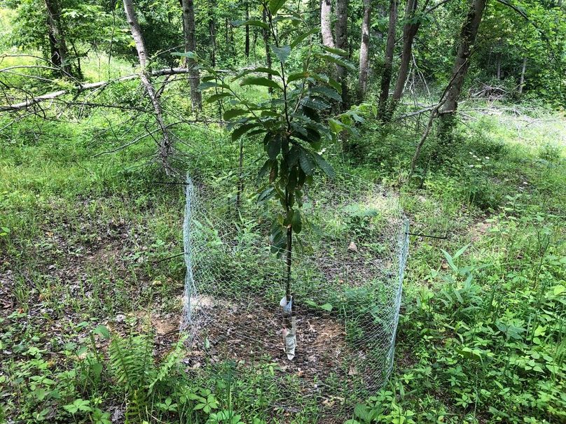 Fb88c822-c49d-4b91-9563-1d892df443c1 1 105 c