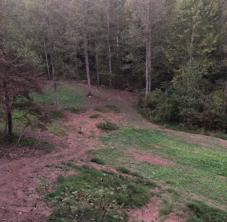 Fbd88e70-2ac8-43ee-ab53-f2af0eba6198 1 105 c