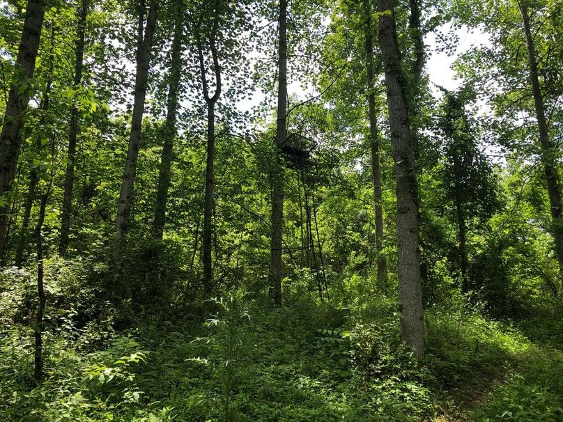 076e9d79-39d6-4eff-96be-f2203aec4855 1 105 c