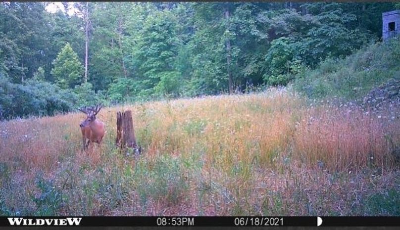 080bc543-421a-4373-833a-fbcb8d16a0e5 4 5005 c