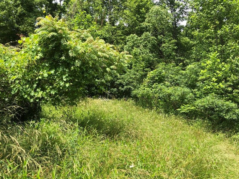 00511fcf-52de-4d22-ba0b-0694ec67daac 1 105 c