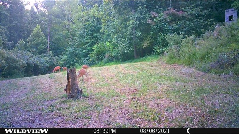 0bee7739-9cf2-4a98-8af8-7a1e610c466f 1 105 c