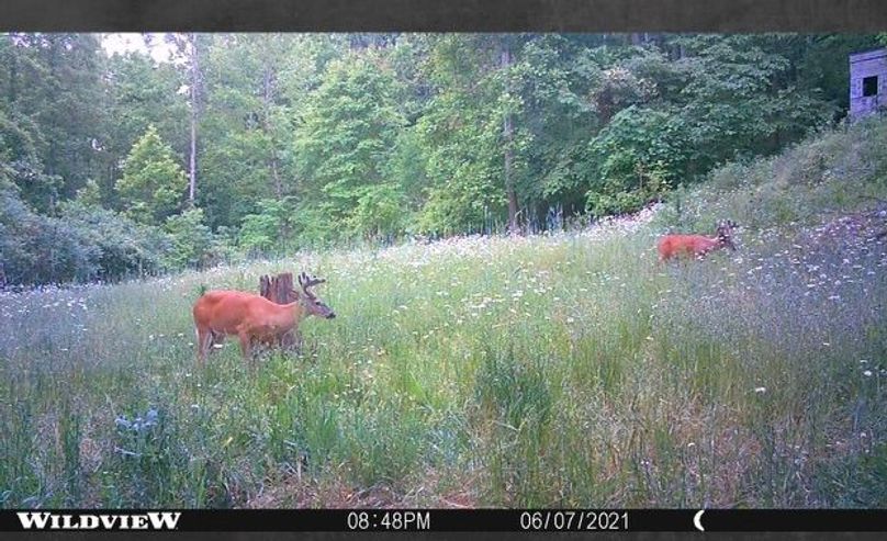 0e6ce8f9-c9ff-46ad-b769-6666de45a065 1 201 a