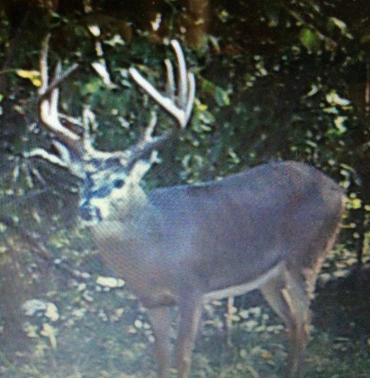 17001ba5-ef8a-4c15-8920-5f76f1ea7189 1 105 c