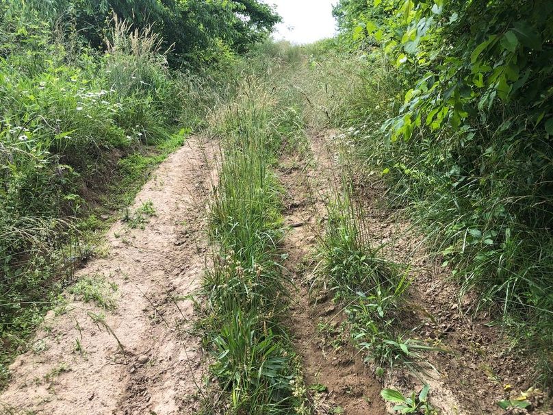 107fc0ca-dbb1-4de7-b092-752c1553eb58 1 105 c