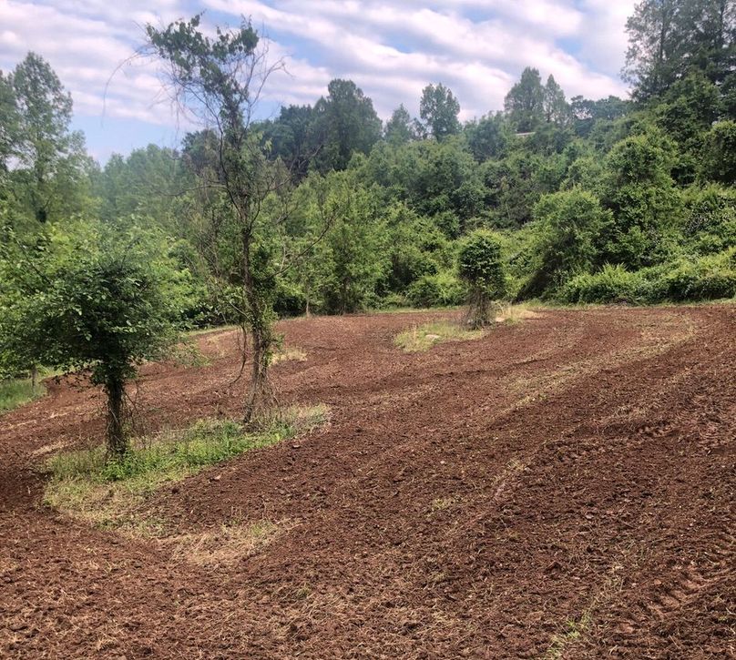 134226e9-f9ea-42b5-a0d8-2906310d6d78 1 105 c