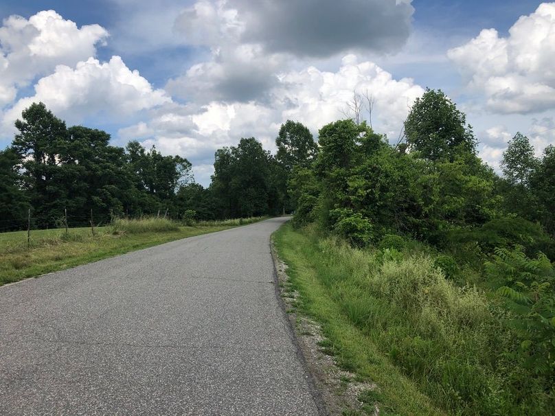 1bb2c35c-d3c7-4888-8492-6cdc7a6a943d 1 105 c