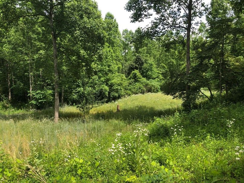 1d912a96-6816-4017-a062-51ab1808ce25 1 105 c