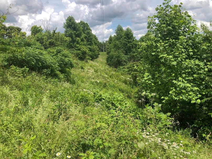 1f6ab341-84ea-4dd6-8674-923f4b621c02 1 105 c