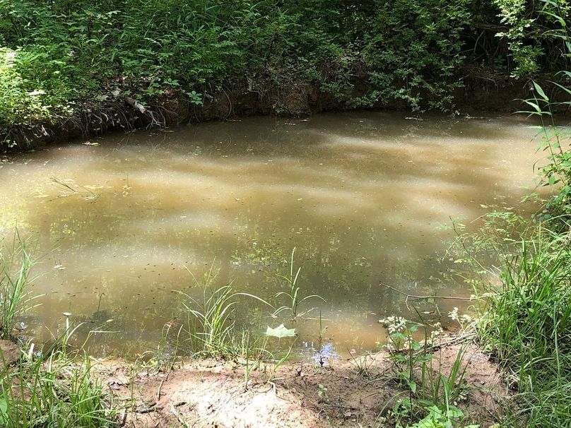 1febd5a6-e244-4e7a-af11-1f5ff5a9fffc 1 105 c