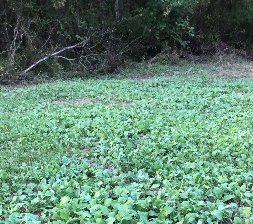 273ce253-a0d5-4c64-8dd8-d7f7d1a74013 1 105 c