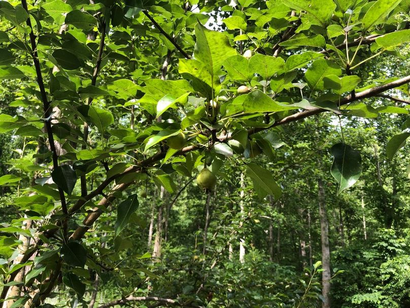 218bdea7-081f-48e6-a09b-d6aaa3f49807 1 105 c