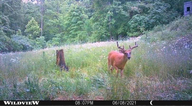 2da02bec-ba6b-4d7e-b0a8-d55d4c76ad5e 4 5005 c