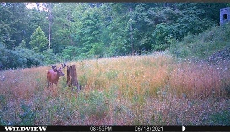 33313cd5-1bf2-4c9c-adf5-943b55a04161 4 5005 c