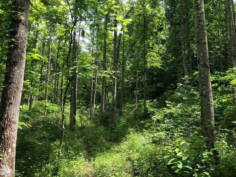 3a197d12-7237-4a18-bd38-79451f6ac751 1 105 c