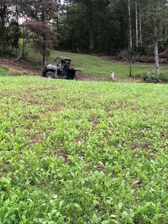 45d7ed31-fbc1-42c2-9c5e-40493a0c5864 1 105 c