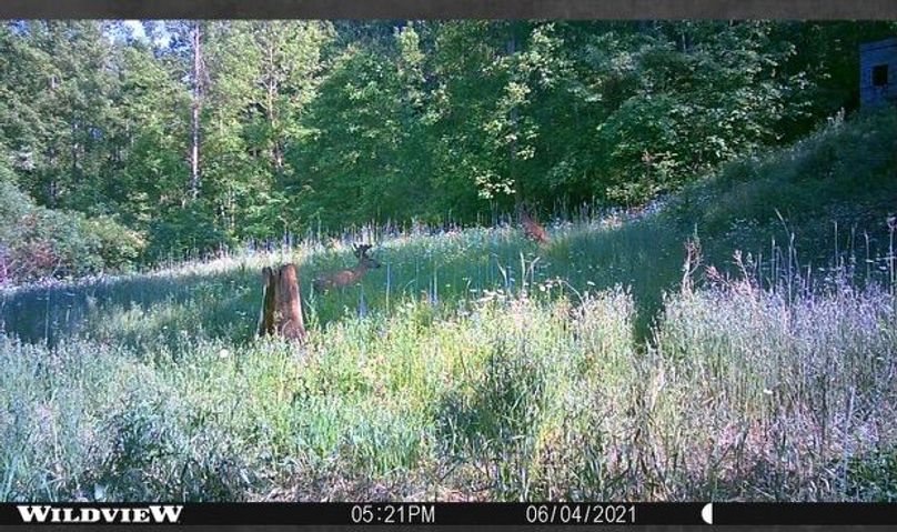 46e59efc-2f80-43da-b294-f75138387e09 1 201 a