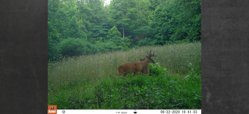 4b0c64ae-48b9-40c2-a8bc-d0313fe45a91