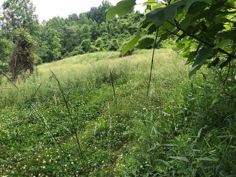 4e8db551-23e3-464d-9609-bc78d6306ed5 1 105 c