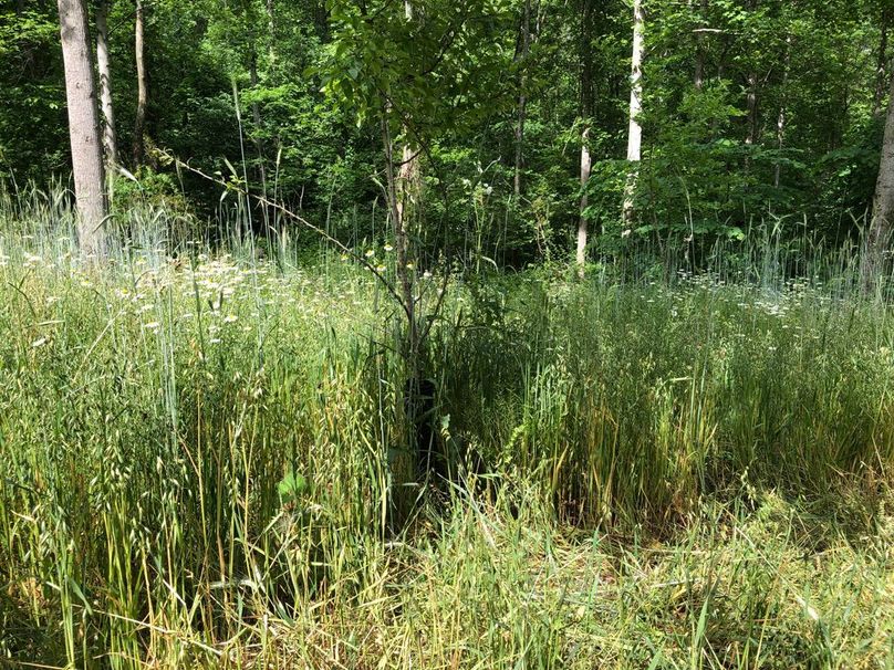 4eacc45a-e307-4164-be9b-f4924b291827 1 105 c